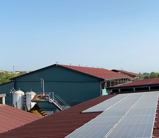 Coldiretti: “Bene l’energia rinnovabile, ma mai a scapito delle coltivazioni e del Parmigiano Reggiano”