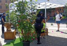 Polizia locale: Stradilandia il gioco dell’educazione stradale scende in piazza