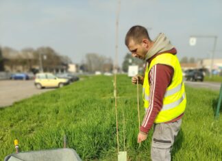 Correggio, un nuovo viale alberato in via Modena