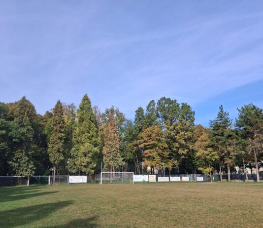 Ugo Pellini: “Alberi a rischio abbattimento in zona Piscina tra viale Olimpia, via Melato e Viale dei Partigiano”
