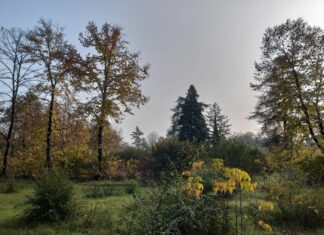 Reggio Emilia Ecosistema Urbano, Ugo Pellini: “Le statistiche non sempre fotografano correttamente la realtà”