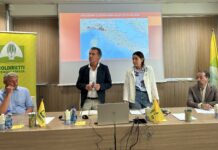 Psa e futuro degli allevamenti suinicoli reggiani: confronto fra Coldiretti Reggio Emilia e l’Ausl Veterinaria