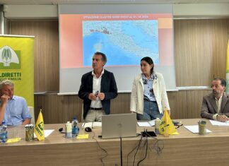 Psa e futuro degli allevamenti suinicoli reggiani: confronto fra Coldiretti Reggio Emilia e l’Ausl Veterinaria