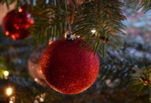 A Natale il Quartiere Stazione si accende: nuove luminarie in via IV Novembre e lanterne cinesi in via Eritrea